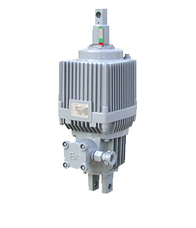 制作精巧、危險系數低