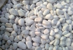 水洗石施工過程